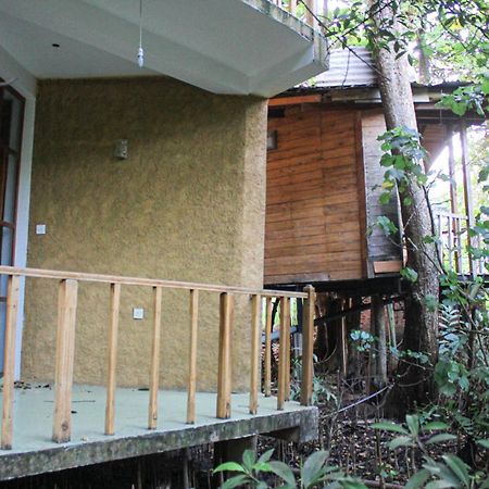 Seasons Four Mini Jungle Cabana Matara Exterior foto
