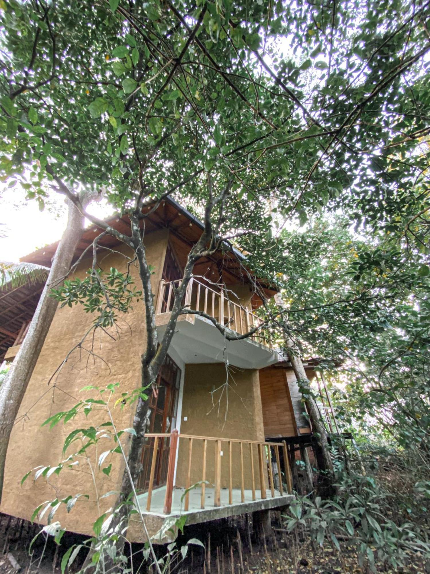 Seasons Four Mini Jungle Cabana Matara Exterior foto